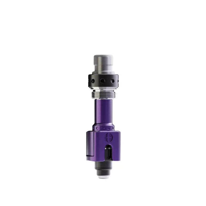 Early Bird Serin RBA in Electric Purple Colour