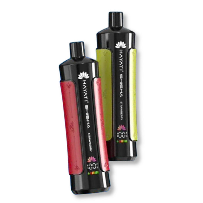 Hayati Pro Max Shisha 15000 Puffs Prefilled Vape Pod Kit Box of 10, Aj Super Store