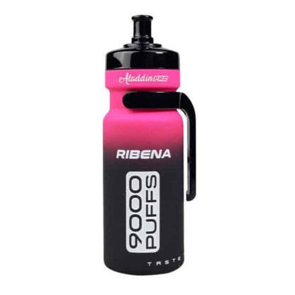 Aladdin Pro Enjoy 9000 Puffs Prefilled Vape Kit Box Of 10, Ribena Flavour