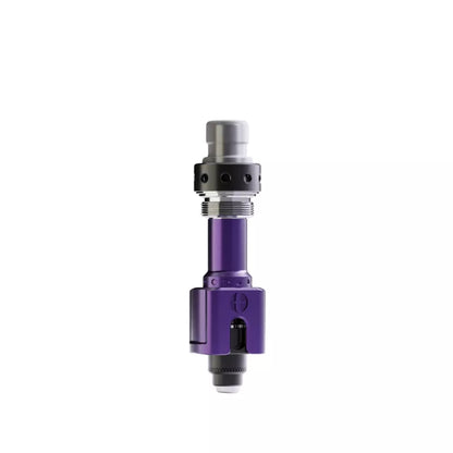 Early Bird Serin RBA in Electric Purple Colour