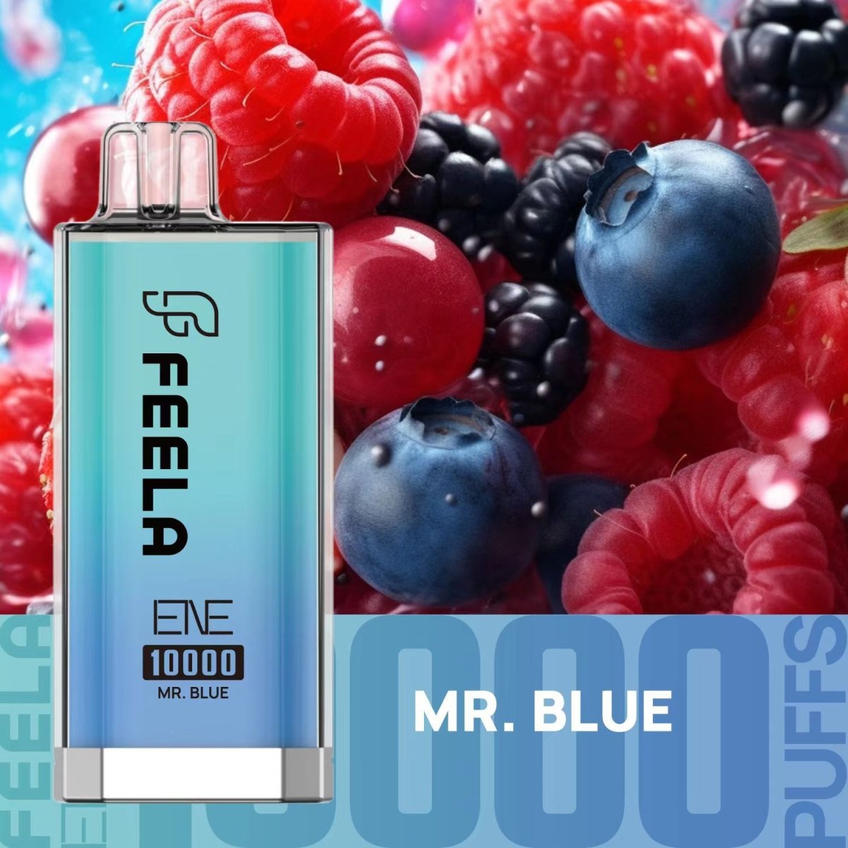 Elux 10000 Puffs Prefilled Vape Kit Box of 10, Mr Blue Flavour