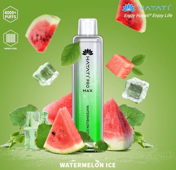 Hayati Pro Max 4000 Puffs Disposable Vape Kit