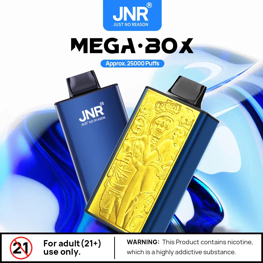JNR Mega Box 25000 Puffs Prefilled Vape Pod Kit Box of 10, Aj Super Store