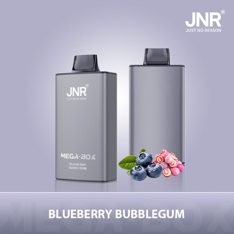 JNR Mega Box 25000 Puffs Prefilled Vape Pod Kit Box of 10, Blueberry Bubblegum Flavour