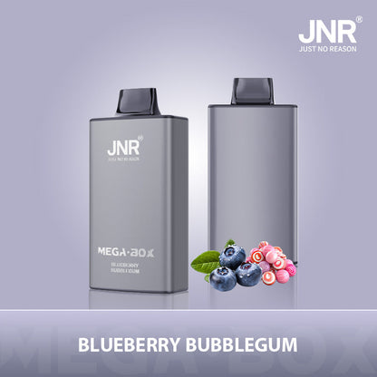 JNR Mega Box 25000 Puffs Prefilled Vape Pod Kit Box of 10, Blueberry Bubblegum Flavour