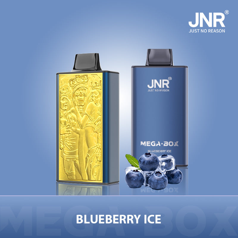 JNR Mega Box 25000 Puffs Prefilled Vape Pod Kit Box of 10, Blueberry Ice Flavour