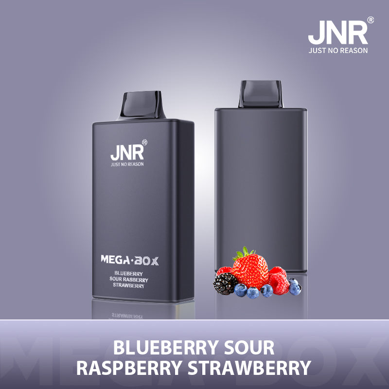 JNR Mega Box 25000 Puffs Prefilled Vape Pod Kit Box of 10, Blueberry Sour Raspberry Strawberry Flavour