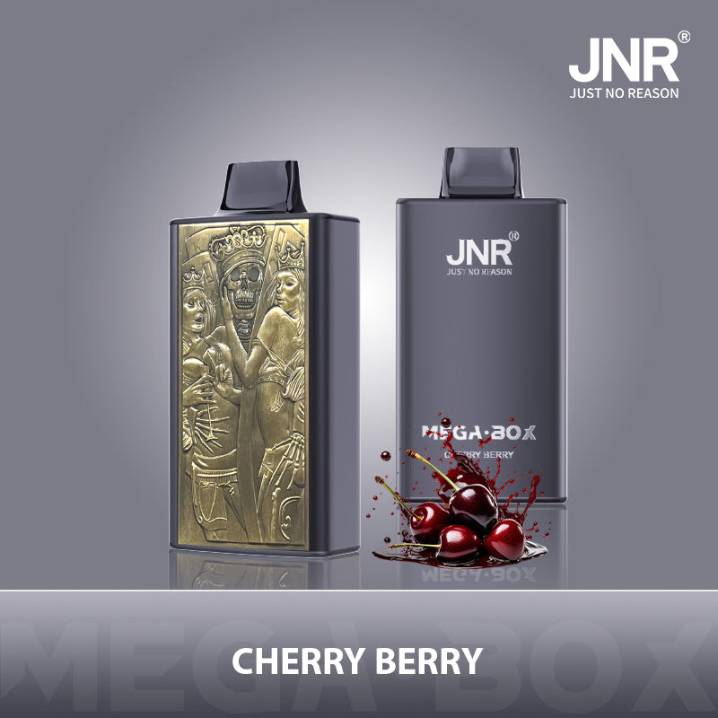 JNR Mega Box 25000 Puffs Prefilled Vape Pod Kit Box of 10, Cherry Berry Flavour