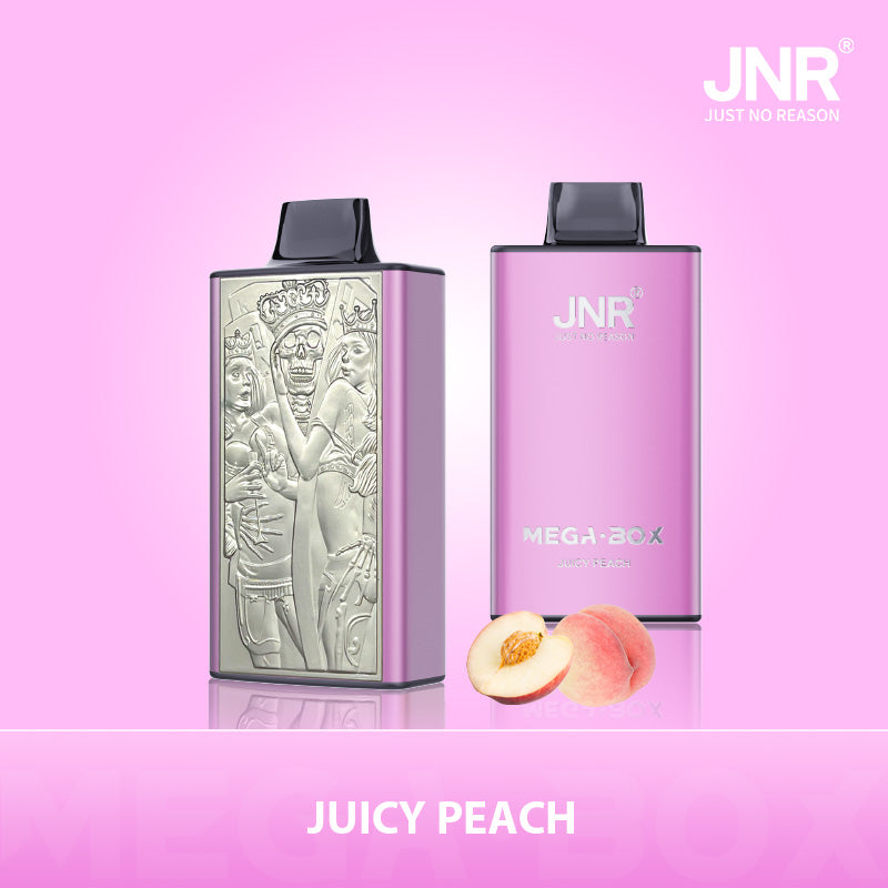 JNR Mega Box 25000 Puffs Prefilled Vape Pod Kit Box of 10, Juicy Peach Flavour