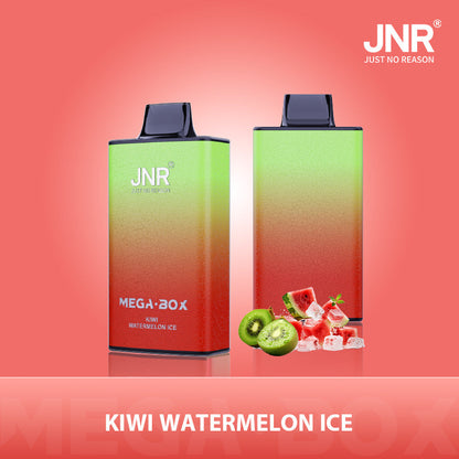 JNR Mega Box 25000 Puffs Prefilled Vape Pod Kit Box of 10, Kiwi Watermelon Ice Flavour