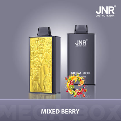 JNR Mega Box 25000 Puffs Prefilled Vape Pod Kit Box of 10, Mixed Berry Flavour