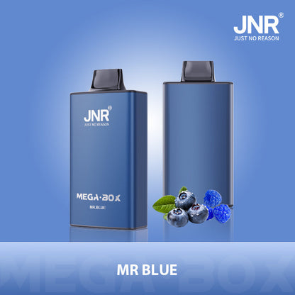 JNR Mega Box 25000 Puffs Prefilled Vape Pod Kit Box of 10, Mr Blue Flavour