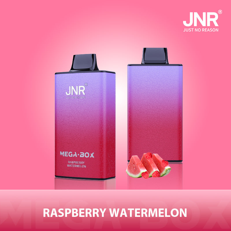 JNR Mega Box 25000 Puffs Prefilled Vape Pod Kit Box of 10, Raspberry Watermelon Flavour