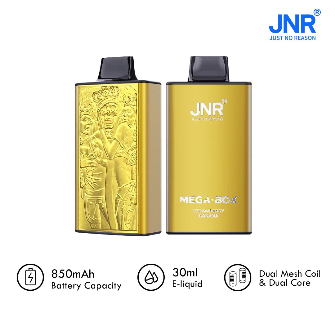 JNR Mega Box 25000 Puffs Disposable Vape Kit - Box of 10 AJ's Superstore JNR Mega Box 25000 Puffs Disposable Vape Kit - Box of 10 AJ's Superstore