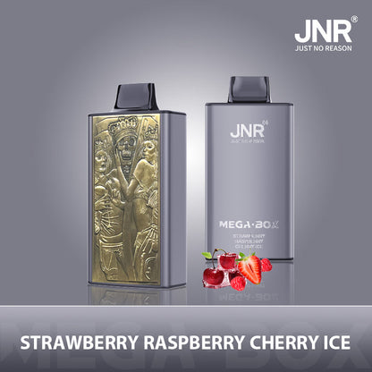 JNR Mega Box 25000 Puffs Prefilled Vape Pod Kit Box of 10, Strawberry Raspberry Cherry Ice Flavour