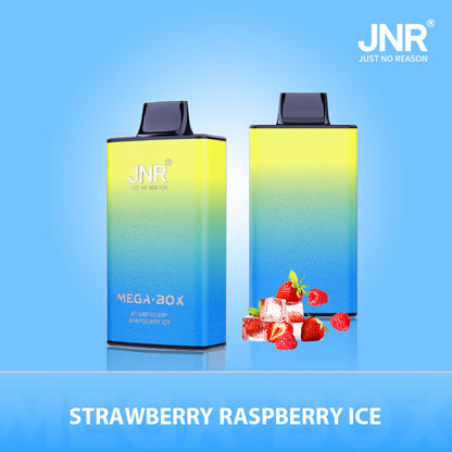 JNR Mega Box 25000 Puffs Prefilled Vape Pod Kit Box of 10, Strawberry Raspberry Ice  Flavour