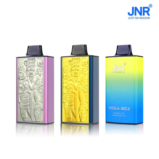 JNR Mega Box 25000 Puffs Prefilled Vape Pod Kit Box of 10, Strawberry Watermelon Flavour