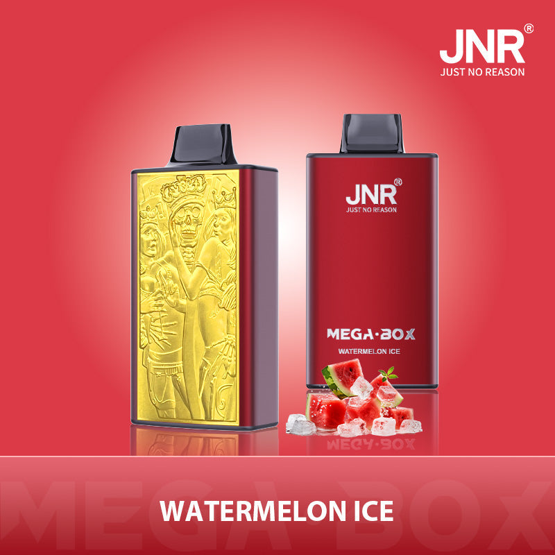 JNR Mega Box 25000 Puffs Prefilled Vape Pod Kit Box of 10, Watermelon Ice Flavour
